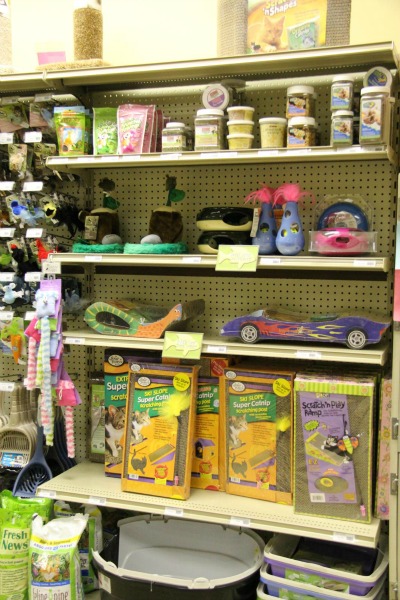 Cat Toys And Supplies 3