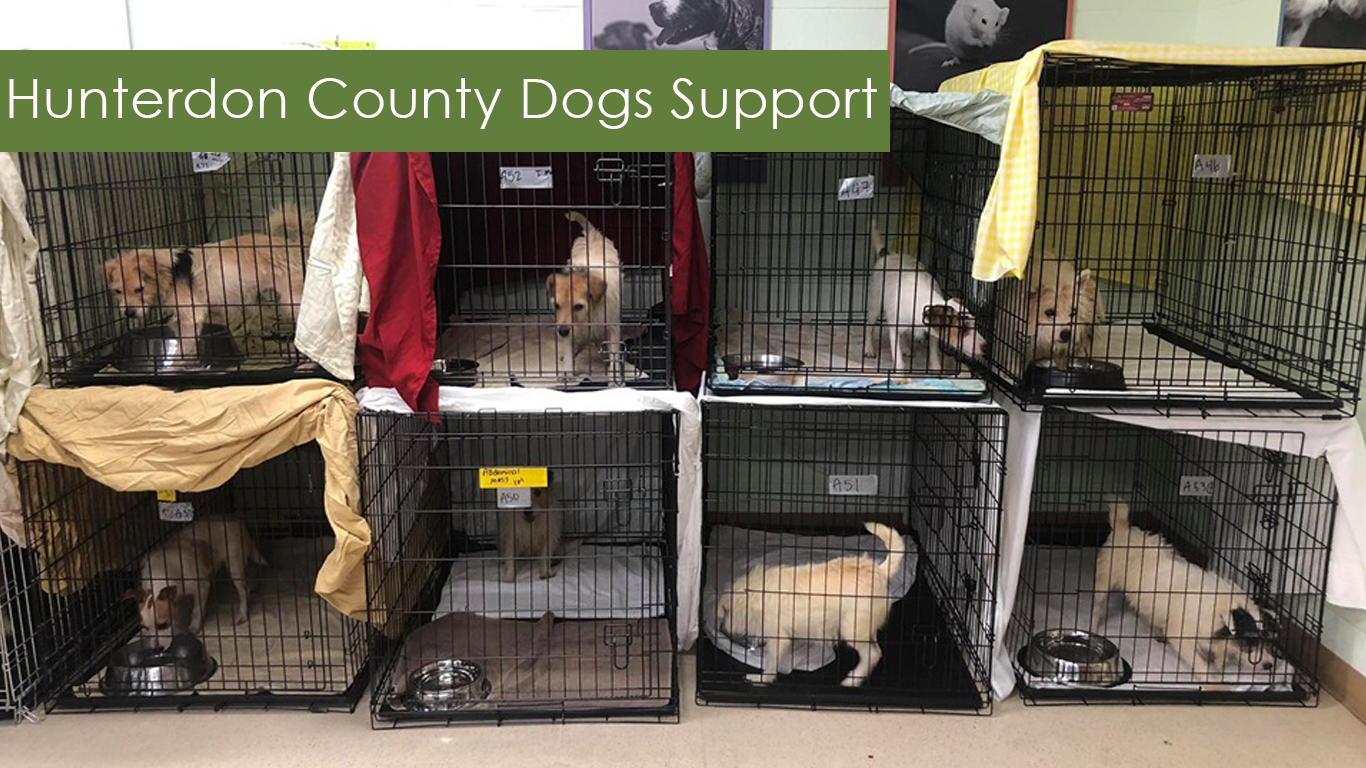 Monmouth County SPCA - Homeward Bound Adoption Center Home ...