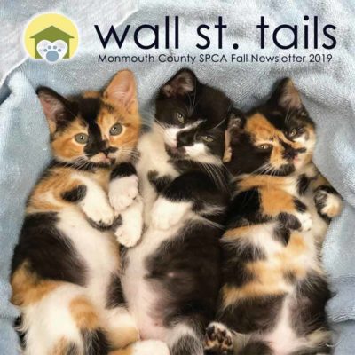 Our 2019 Fall Newsletter is Here!