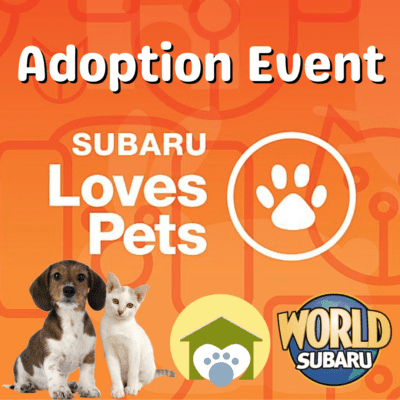 World Subaru Adoption Event