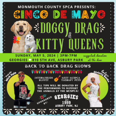 Doggy Drag & Kitty Queens