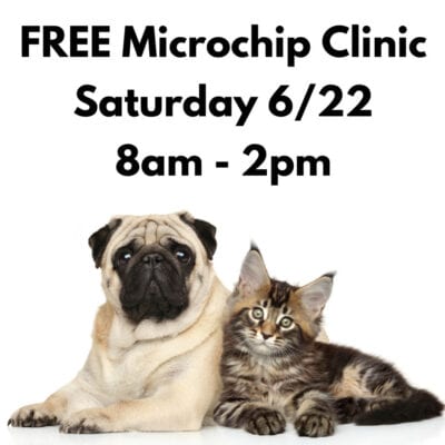 Free Microchip Clinic