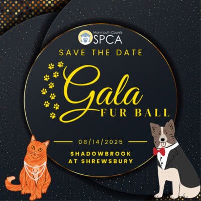 2025 Fur Ball Gala
