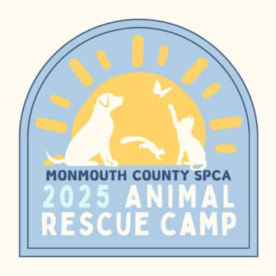 Animal Rescue Camp