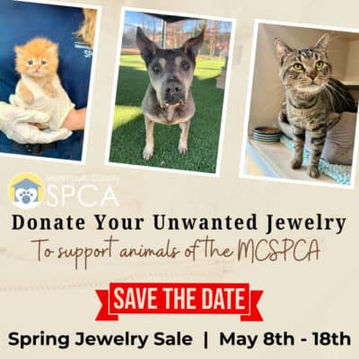 Spring Jewelry Sale – Collecting Now!