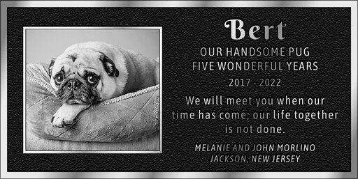 J.Morlino_MCSPCA_PLAQUE_APPROVAL_V2