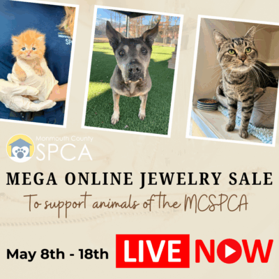 Spring Jewelry Sale