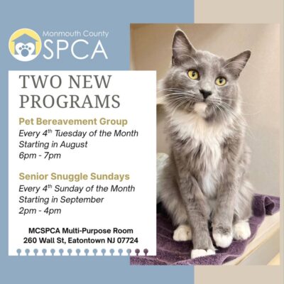 Pet Bereavement & Senior Sundays