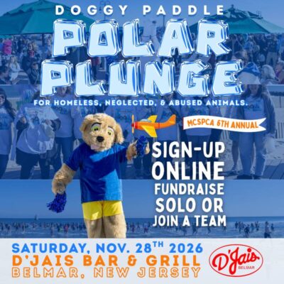 2026 Polar Plunge