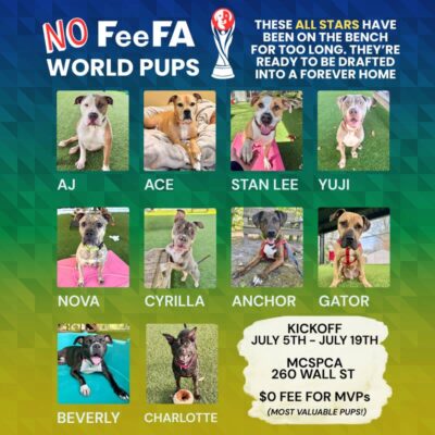 No FeeFa World Pups ⚽